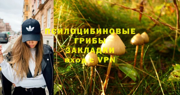 сатива Белокуриха