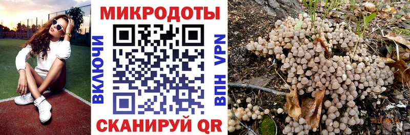 где купить наркотик  Ленск  Галлюциногенные грибы мицелий 
